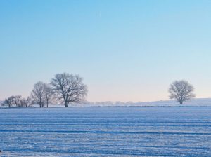 bionature-crop-snow