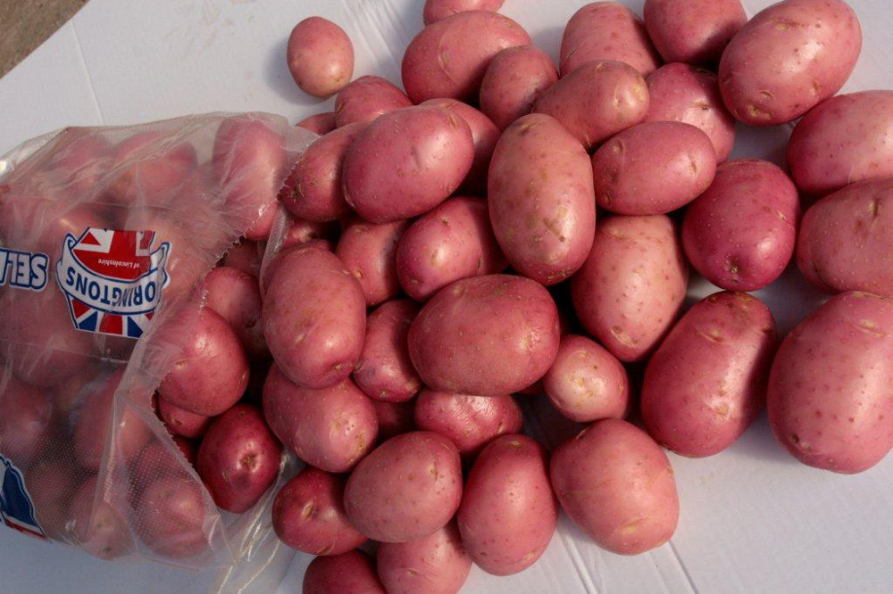 red potatoes